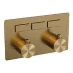 BRAUER Gold Edition - 3 functies - inbouwthermostaat - drukknoppen - in/afbouwdelen - goud geborsteld PVD SW925646