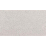 SAMPLE Pavigres Antica Echantillon carrelage mural - 25x45cm 7.5mm - éclat blanc - Grey SW976507