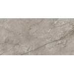 Ceralto Calisto Luxe Carrelage de sol - 59.5x119.5cm - 9.0mm - rectifié - Silver majestic SW1129962