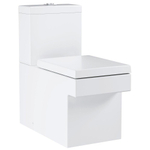GROHE Cube keramiek staand duobloc closet spoelrandloos Pureguard wit SW205850