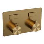 BRAUER Gold Edition - 2 functies - inbouwthermostaat - met inbouwdeel - drukknoppen - in/afbouwdelen - goud geborsteld PVD SW925645