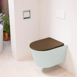 Mondiaz LAVIE hangtoilet – spoelrandloos – 36 x 53 cm – met softclose zitting – Greey (lichtgroen/grijs), zitting Rust (bruin) SW1208700