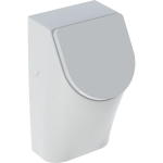 Geberit 300 Urinals 300 urinoir - 32.5x30cm - met achterinlaat - met urinoirdeksel - wit SW417565