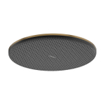 Hansgrohe Raindance alive S - hoofddouche 300 - 1jet - ecosmart - geborsteld brons (brons) SW1388094