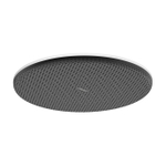 Hansgrohe Raindance alive hoofddouche 300 1 jet mat wit SW1388204