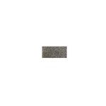 Ceralto Ravello Mini Carreau de sol - 30x60cm - 10.0mm - rectifié - gris WTW11178