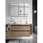 Emco System 2 2-lids draaibare handdoekhouder chroom 34.6cm 355000135