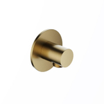 Hotbath Ace Wanduitlaat - rond - PVD - geborsteld messing (goud) SW1119248