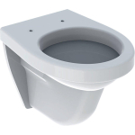 Geberit 300 Basic WC suspendu Compact à fond creux 35x48cm Blanc SW417196