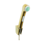 Hansgrohe bidetset handdouche-slang-houd polished gold optic SW451551