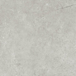 Beste koop Harmony carreau de sol et de mur 100x100cm 8.5mm résistant au gel rectifié gris mat SW543600