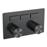 Brauer Gunmetal Carving boutons-poussoirs de thermostat encastré 3 fonctions dans/enlevés gunmetal Brushed pvd SW925684