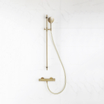 Fortifura Calvi douchekraan - met glijstangset - met ronde handdouche - gladde doucheslang - PVD - geborsteld messing (goud) SW811948