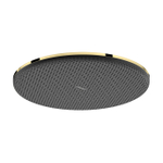 Hansgrohe Raindance alive hoofddouche 300 1 jet EcoSmart Polished Gold Optic (goud) SW1388861