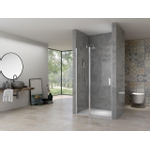 Van Rijn Products ST02 Nisdeur - 98x200cm - helder glas - dikte 6mm - incl. glasbehandeling - chroom SW791713