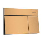 Hansgrohe iFrame Element E plaque de commande pour - double chasse - bronze brossé SW1388329