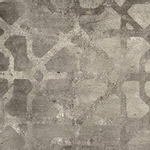 Zyx amazonia carrelage sol et mur avec décor 14x14cm 9mm rectifié r9 porcellanato gris SW795698