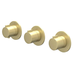 IVY Pact Élément de finition - pour mitigeur thermostatique encastré - 2 robinets d'arrêt - Symmetry - rosaces rondes - or mat brossé PVD SW1030972