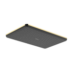 Hansgrohe Raindance Alive Q hoofddouche - 34x21cm - 1 straalsoort - polished gold optic (goud) SW1388606