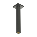 Hansgrohe Raindance alive Plafondaansluiting E - 300mm - geborsteld zwart chroom (antraciet) SW1388127