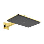 Hansgrohe Raindance alive hoofddouche 210/340 2 jet EcoSmart wand pol.gold SW1388817