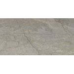 Terravito Waldoro carreau mural et de sol - 60x120cm - 10.5mm - Rectangle - rectifié - Aspect marbre - Gris poli SW476701