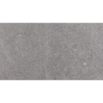 SAMPLE Pavigres Antica Echantillon carrelage mural - 25x45cm 7.5mm - éclat blanc - Black SW976503