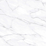 Douglas Jones Marbles Vloer- en wandtegel 90x90cm 10.5mm gerectificeerd porcellanato White SW543711