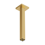Hansgrohe Raindance alive Plafondaansluiting E - 300mm - gepolijst goud (goud) SW1388205