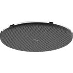 Hansgrohe Raindance alive hoofddouche 300 1 jet EcoSmart+ chroom SW1388049