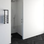 BRAUER Crée Porte de douche - 70x200cm - sans profilé - anti-calcaire - verre de sécurité 8mm - inox brossé SW223726