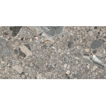 Vtwonen Carrelage composite sol et mur 30x60cm 9mm rectifié R10 Multicolor SW498804