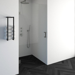 BRAUER Void nisdeur helder glas 100x200 omkeerbaar incl. glascoating PVD RVS-kleurig geborsteld SW223720