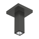 Hansgrohe Raindance alive Plafondaansluiting E - 100mm - geborsteld zwart chroom (antraciet) SW1387931
