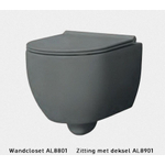 Xenz gio WC suspendu sans chasse d'eau 50,5x35cm sans siège gris mat SW379495