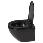 Differnz toilette pour personnes handicapées avec siège céramique noir 49 x 36 x 37 cm SW705595