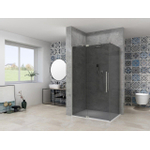 Van Rijn Products ST08 Paroi fixe - 90x200cm - verre fumé gris - épaisseur 8mm - profilé mural - inox SW956403