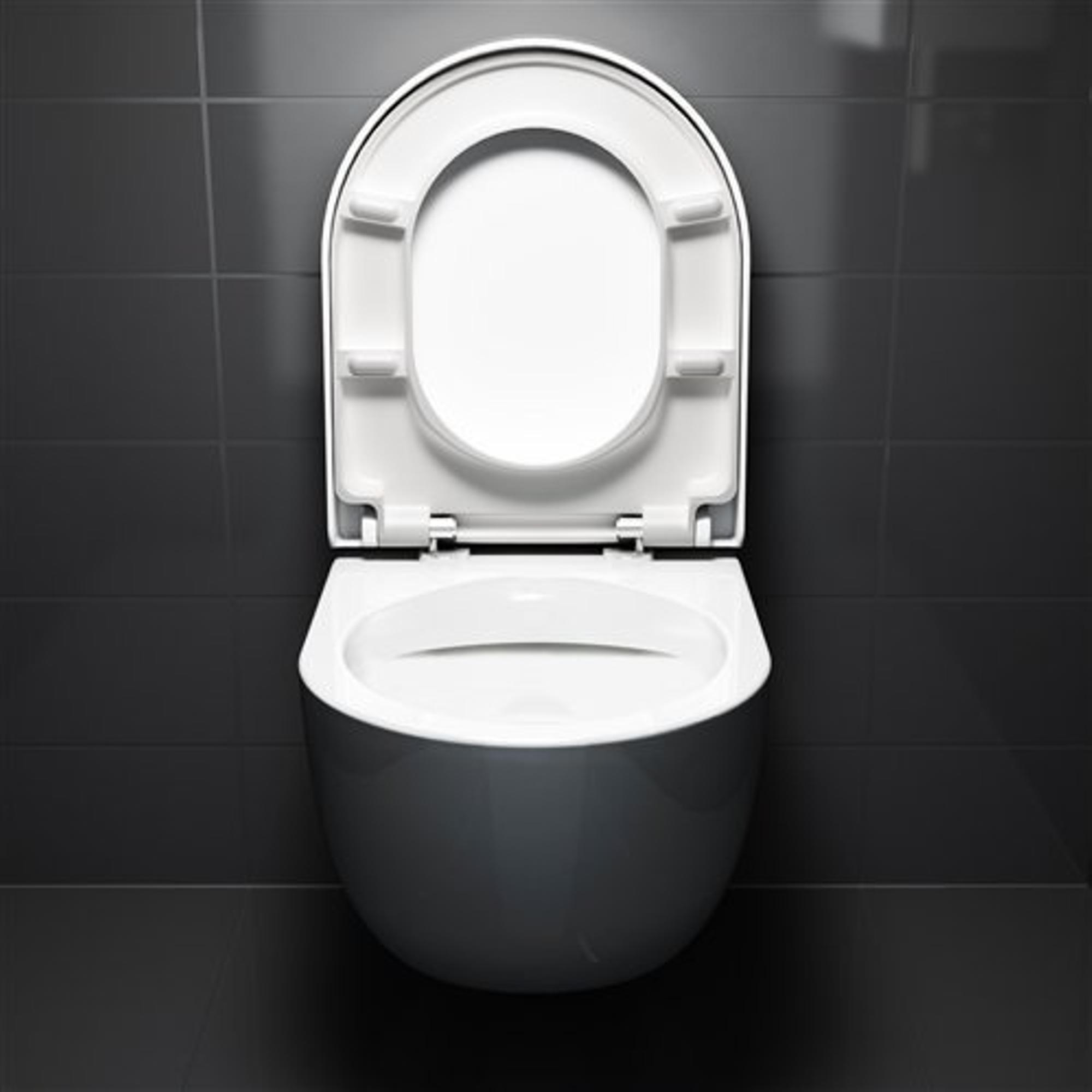 Set Brosse WC Suspendu Clou Flat Mat Blanc