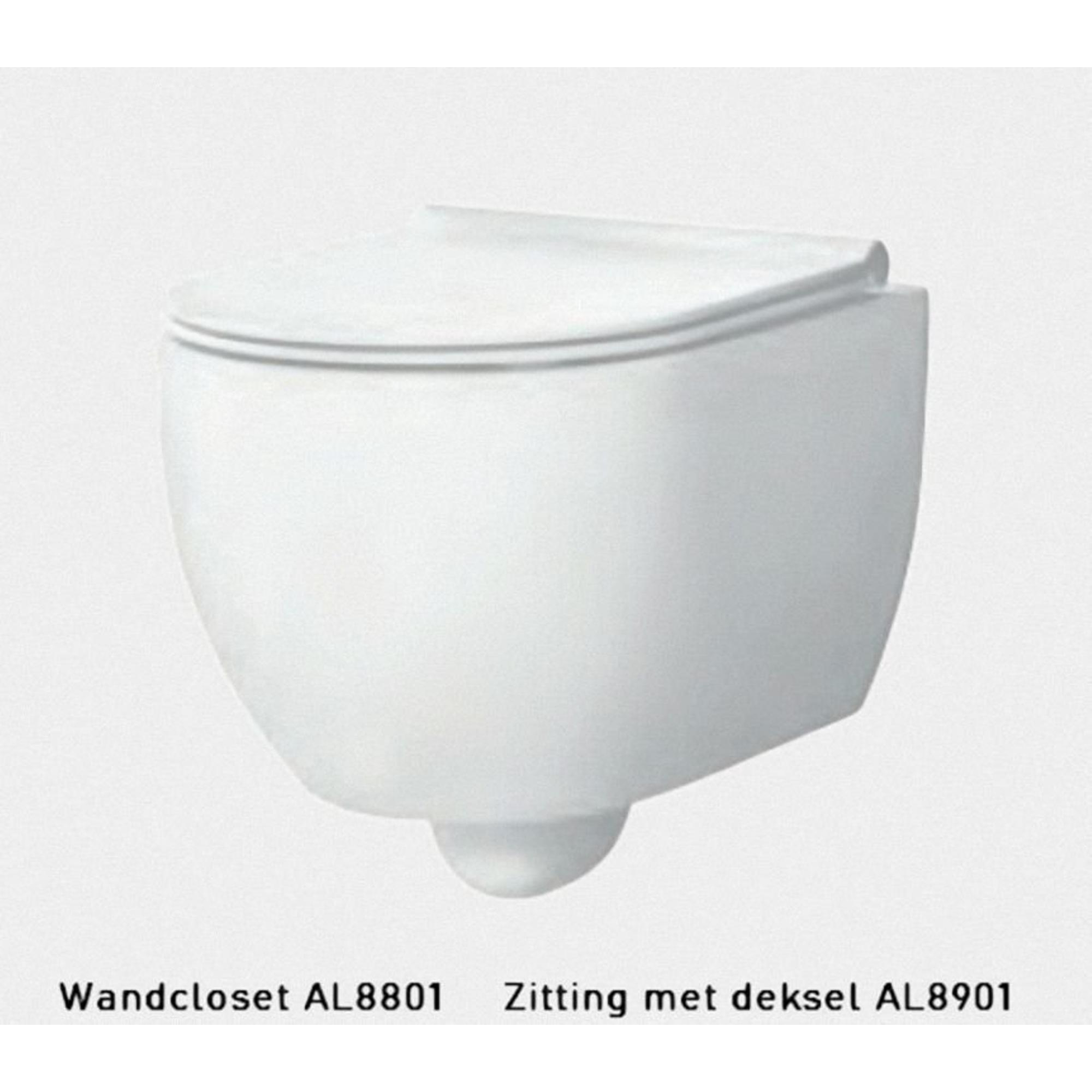 Xenz gio WC suspendu sans chasse d'eau 50,5x35cm sans siège gris