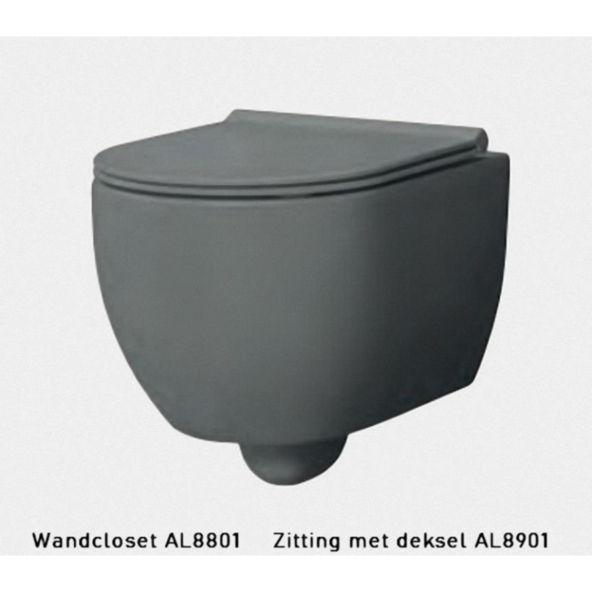 Xenz gio WC suspendu sans chasse d'eau 50,5x35cm sans siège gris mat -  AL8801-06 