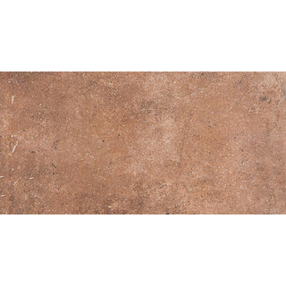 Energieker Antichi Amori wand- en vloertegel - 30x15cm - 8,2mm - Terracotta