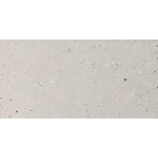Italgranit silv.grain carreau de sol 60x120cm 9,5 avec antigel rectifié gris mat
