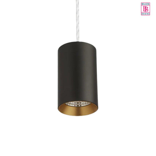 Bellezza Bagno Plafondlamp - IP20 - lichtbron - snoer 120cm - zwart/goud