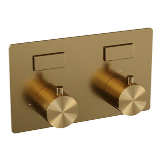 BRAUER Gold Edition - 2 functies - inbouwthermostaat - inbouwdeel - drukknoppen - in/afbouwdelen - goud geborsteld PVD