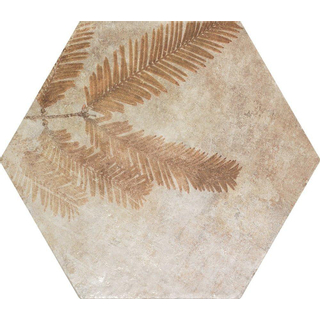 Zyx amazonia carrelage sol et mur avec décor 32x37cm 9mm rectifié r9 porcellanato cotto