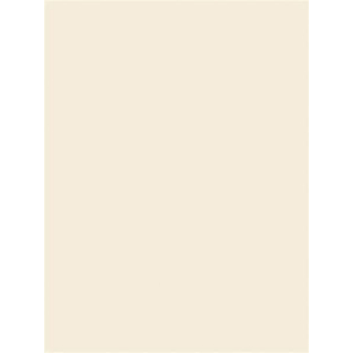 Mosa Hollnd2040 carreau de mur 14,7x19,7cm 6,3mm crème blanc mat