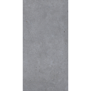 EnergieKer Brera - Carrelage sol et mural - 60x120cm - rectifié - Gris mat