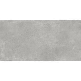 Baldocer Ceramica Code carrelage mural - 40x120cm - Rectangulaire - 11mm - rectifié - aspect béton - Argent