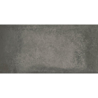 Baldocer Ceramica Grafton wand- en vloertegel - 40x80cm - 10mm - Rechthoek - gerectificeerd - Betonlook - Antraciet Mat