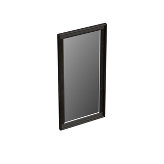 Forzalaqua reno 2.0 miroir 40x2x80cm chêne noir huilé